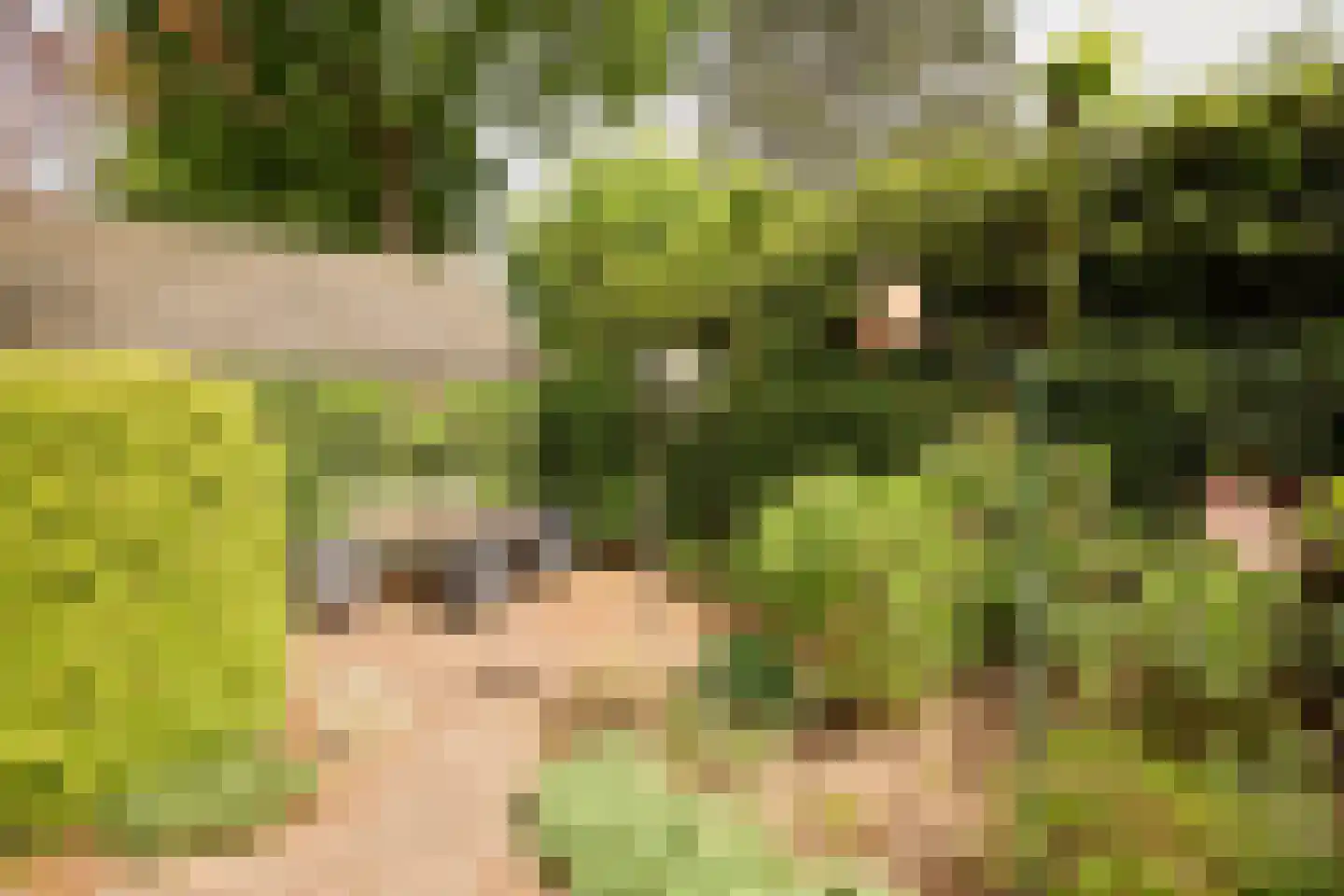Singel 10 Blaricum thumbnail 28
