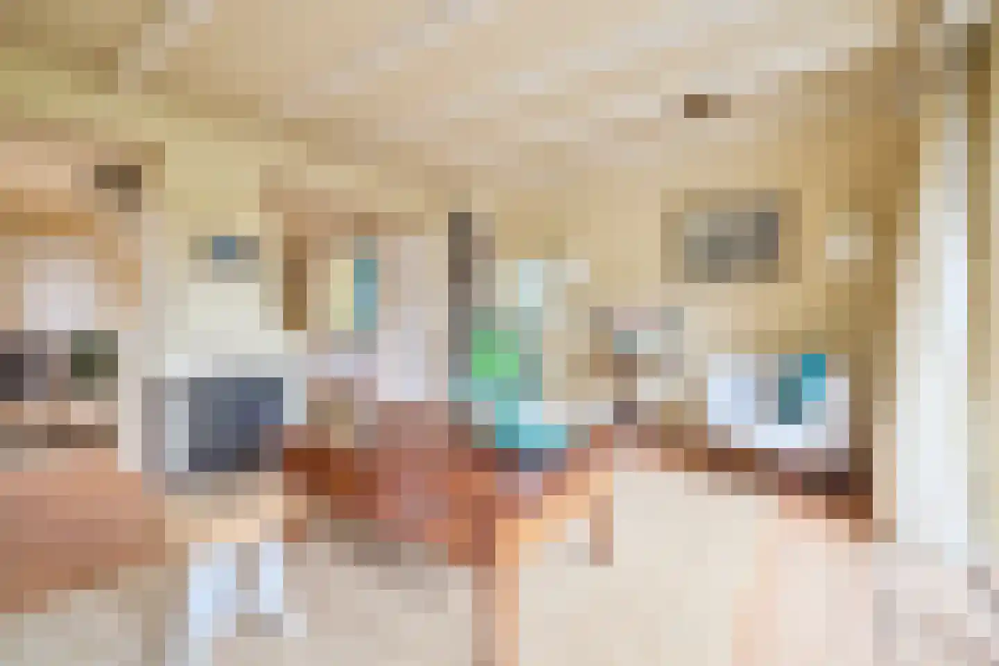 Singel 10 Blaricum thumbnail 4