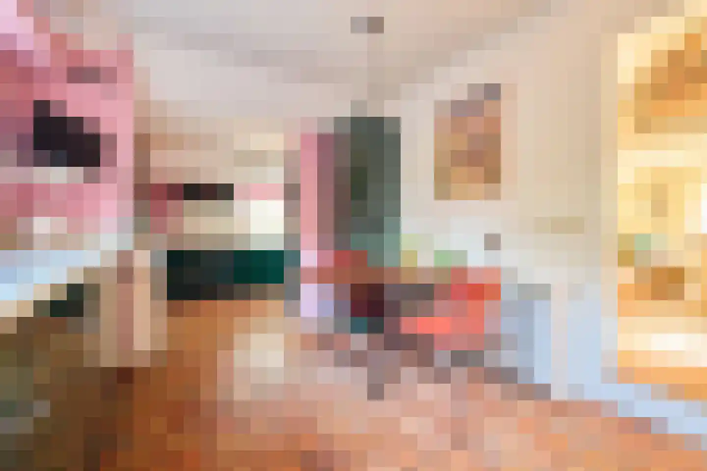 Singel 10 Blaricum thumbnail 9