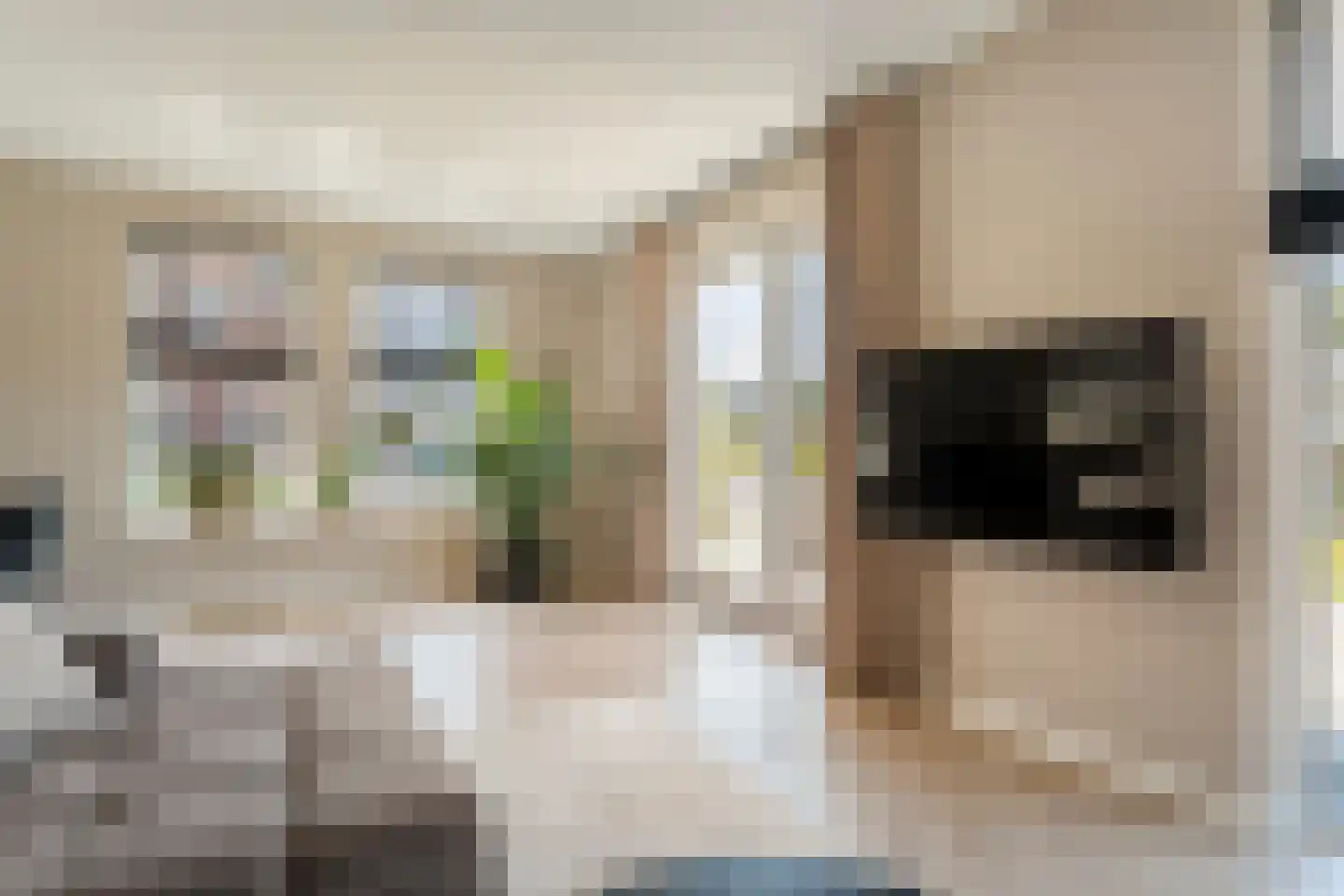 Singel 10 Pesse thumbnail 10
