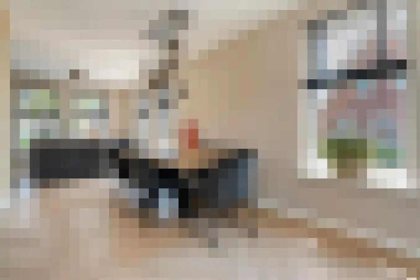 Singel 10 Pesse thumbnail 13