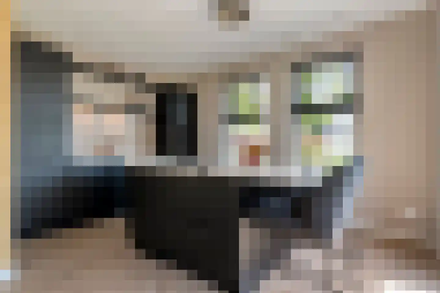 Singel 10 Pesse thumbnail 14