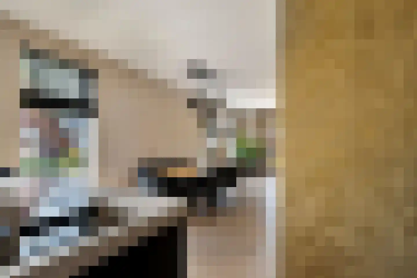 Singel 10 Pesse thumbnail 17