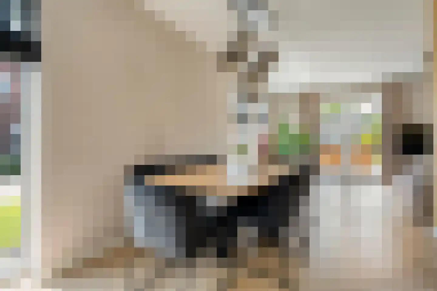Singel 10 Pesse thumbnail 18