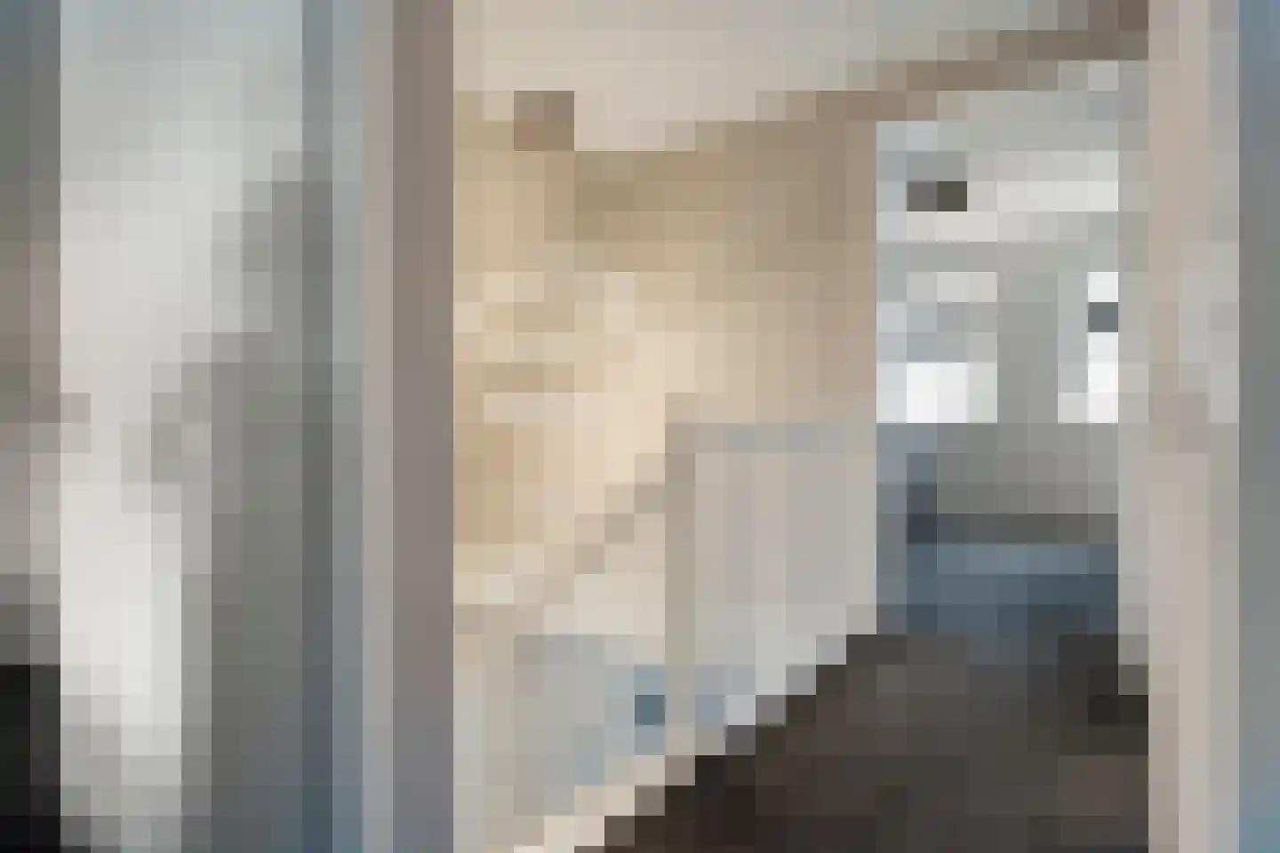 Singel 10 Pesse thumbnail 24