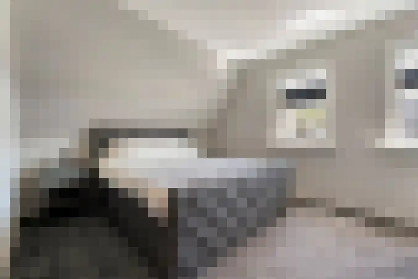 Singel 10 Pesse thumbnail 27