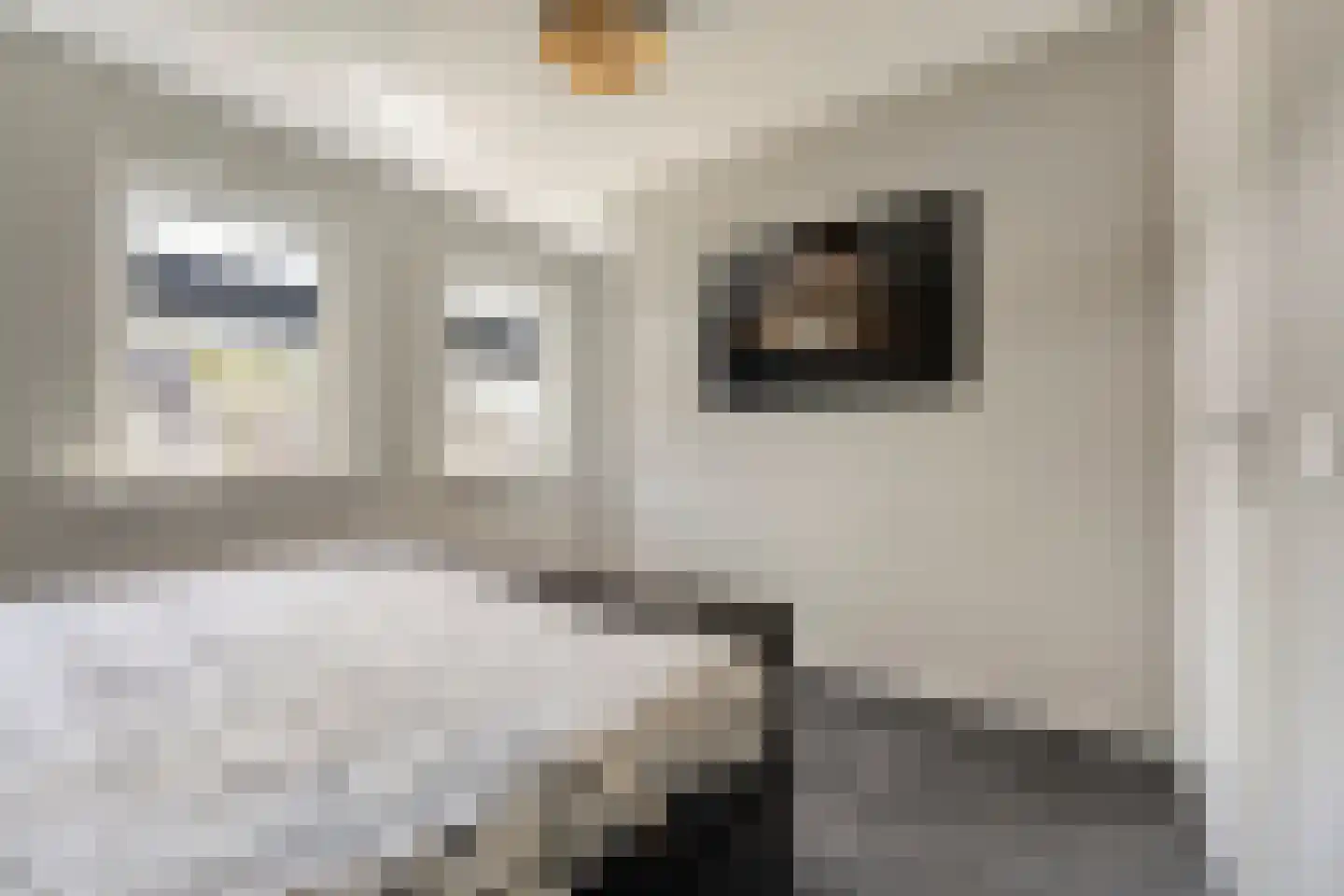 Singel 10 Pesse thumbnail 28