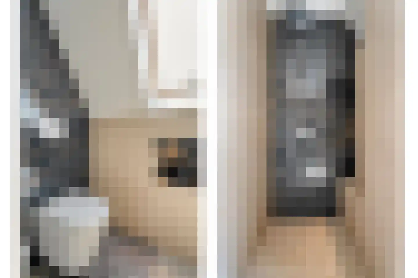 Singel 10 Pesse thumbnail 32