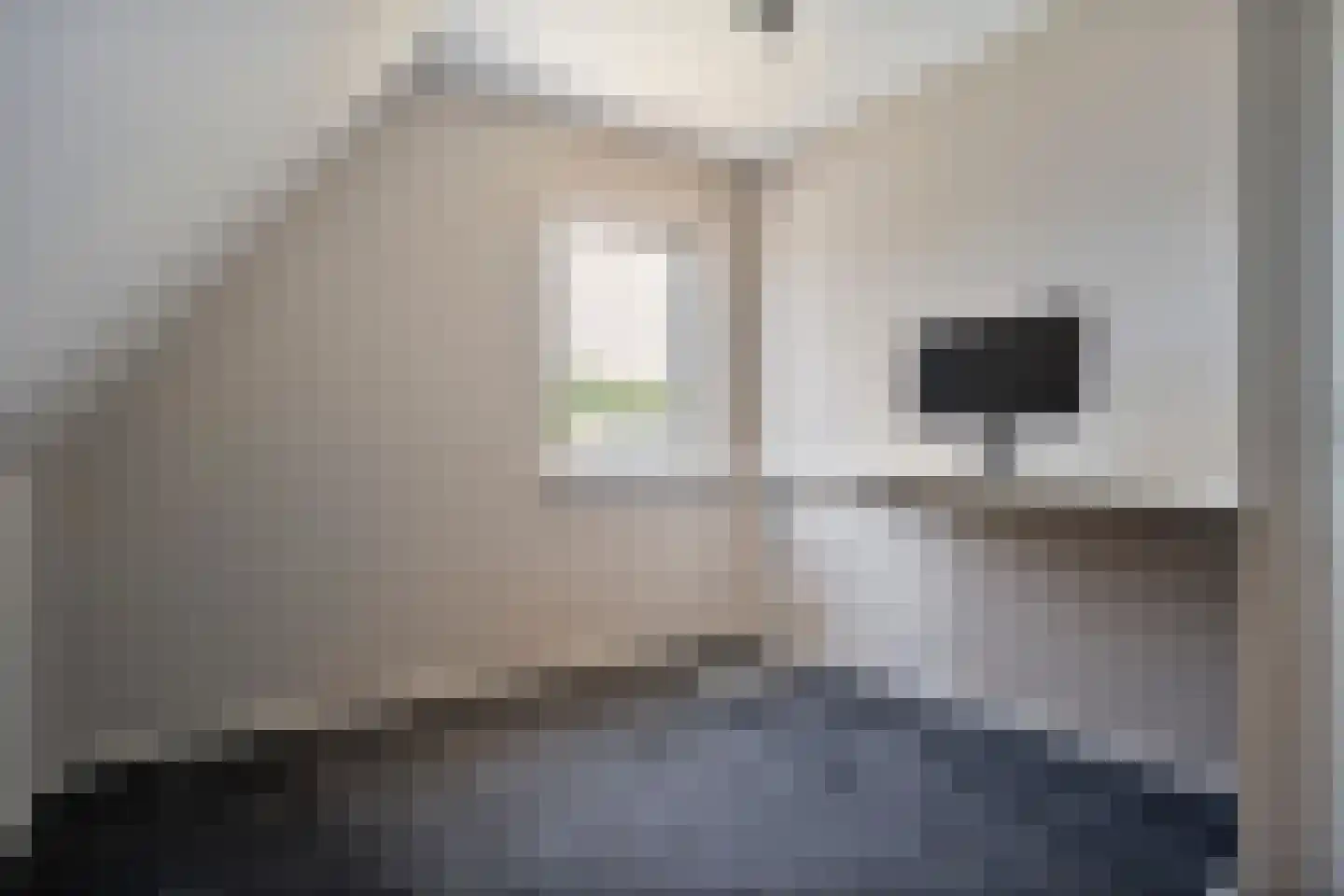 Singel 10 Pesse thumbnail 38