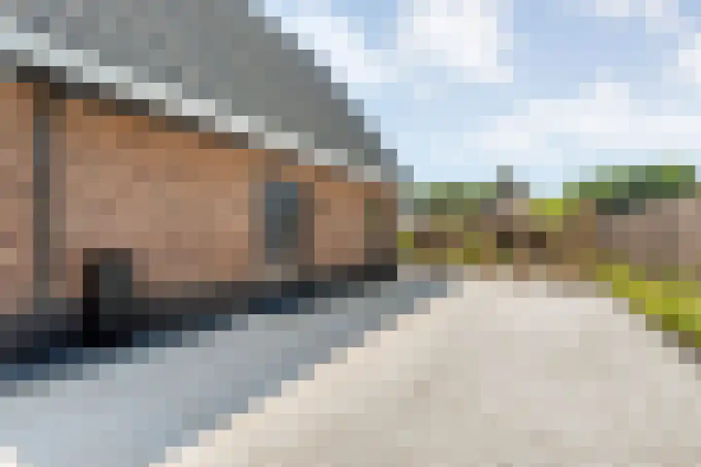 Singel 10 Pesse thumbnail 4