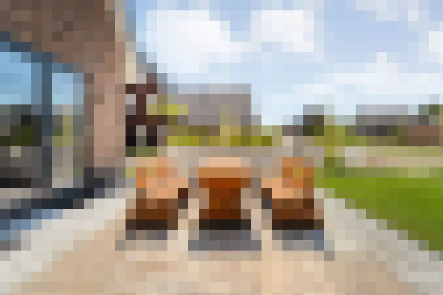 Singel 10 Pesse thumbnail 40