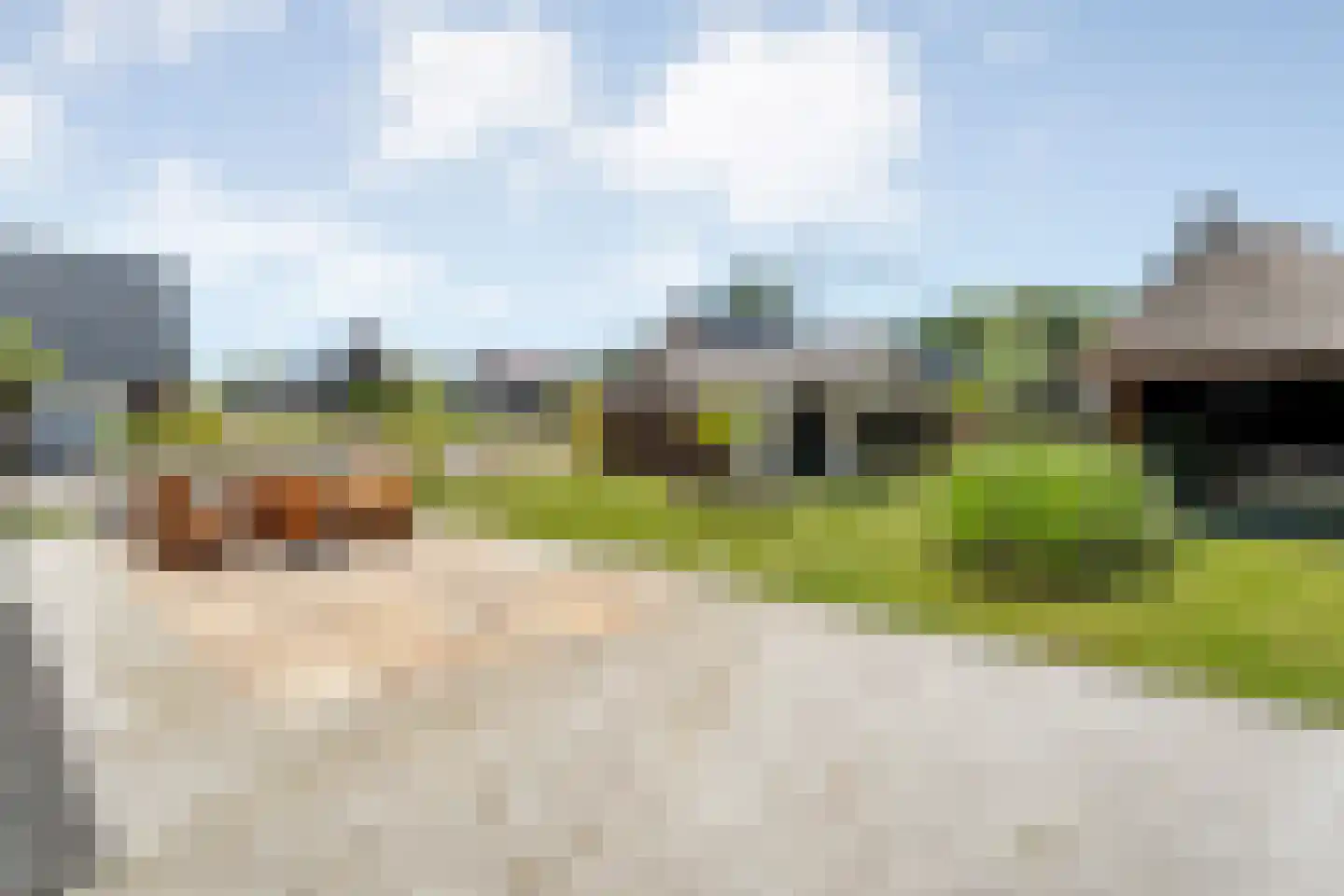 Singel 10 Pesse thumbnail 41