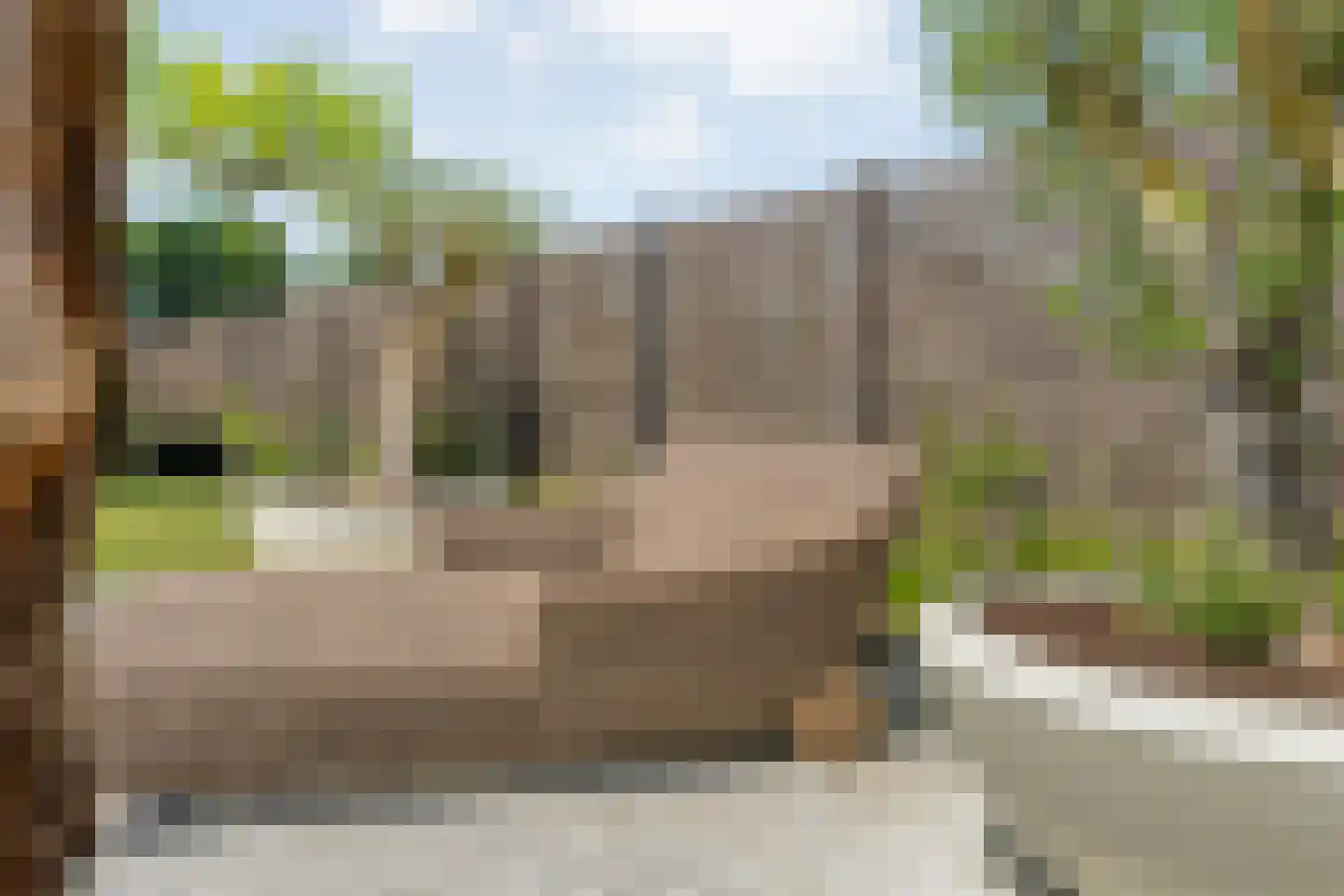 Singel 10 Pesse thumbnail 42