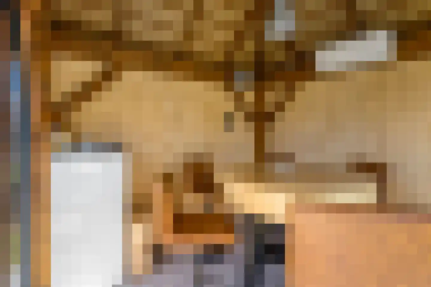 Singel 10 Pesse thumbnail 45