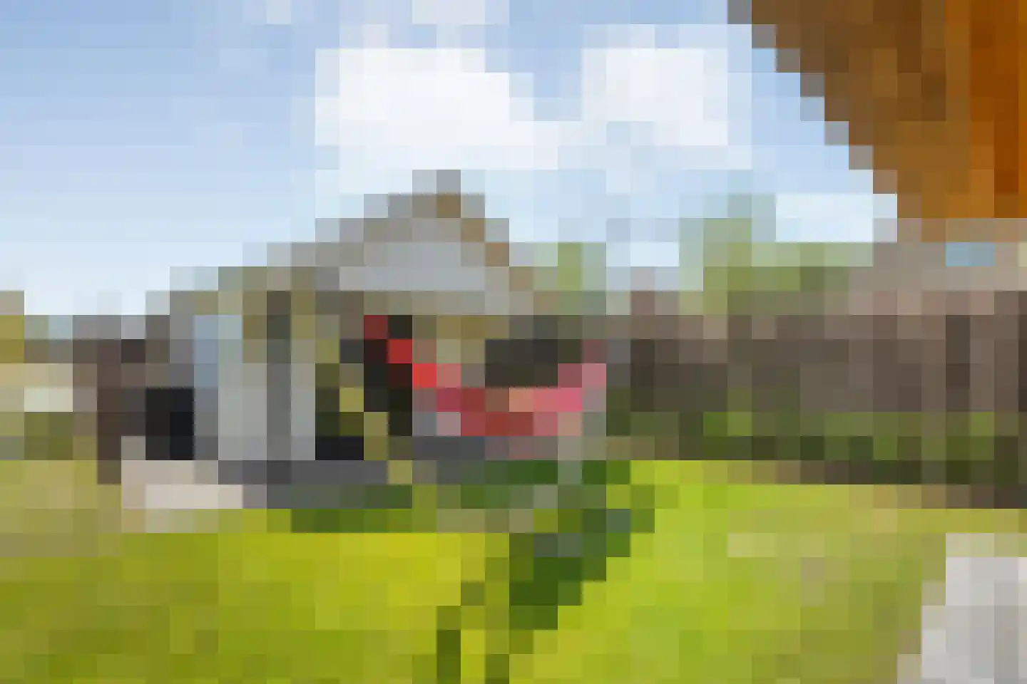 Singel 10 Pesse thumbnail 48