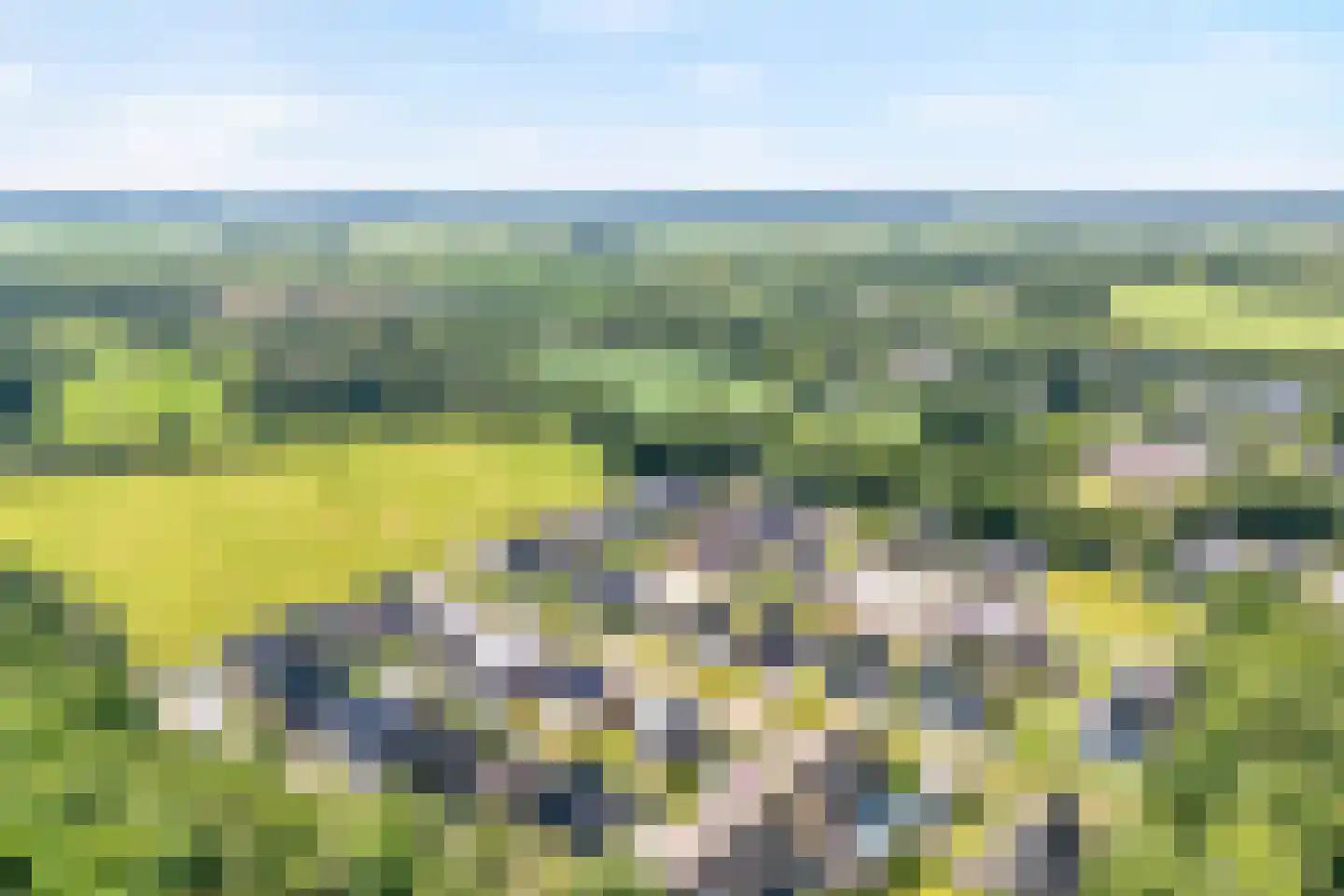 Singel 10 Pesse thumbnail 54
