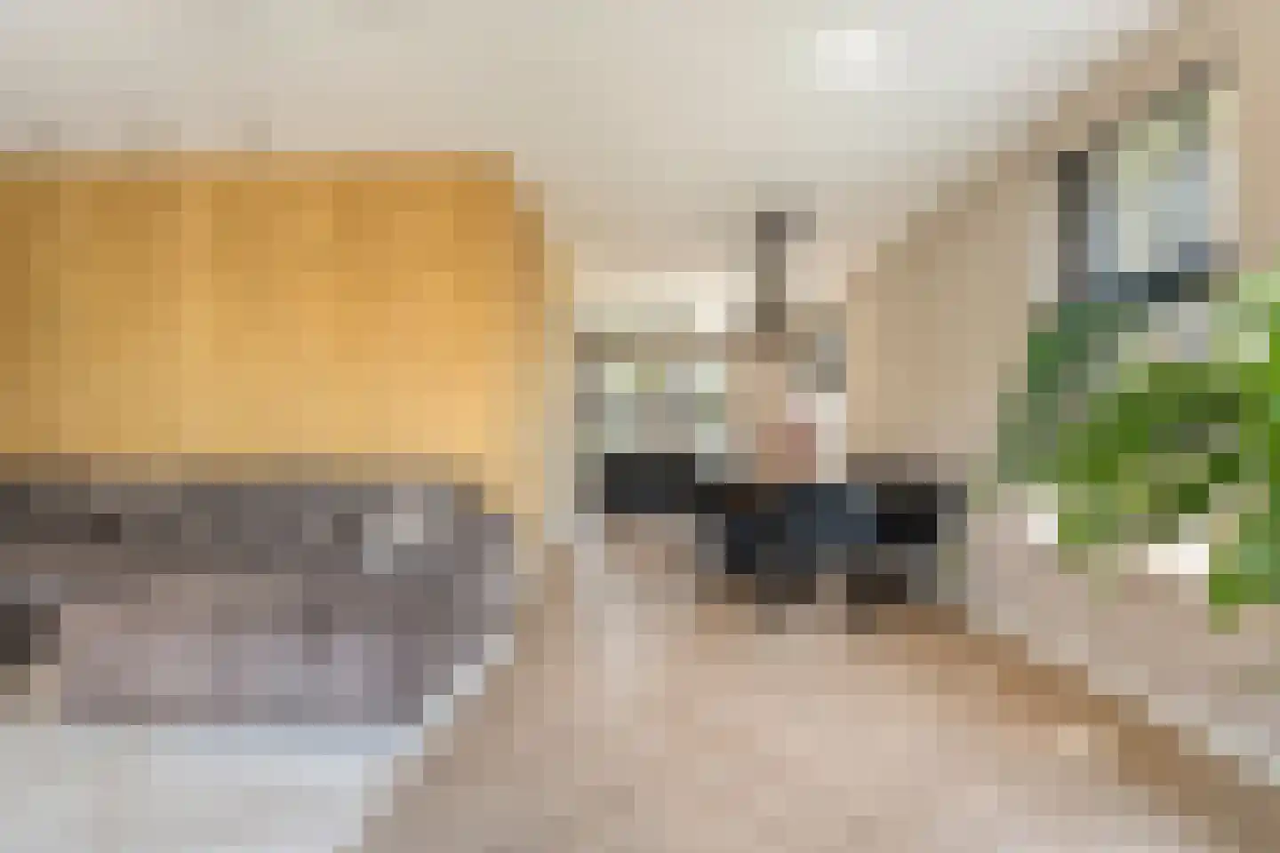 Singel 10 Pesse thumbnail 9