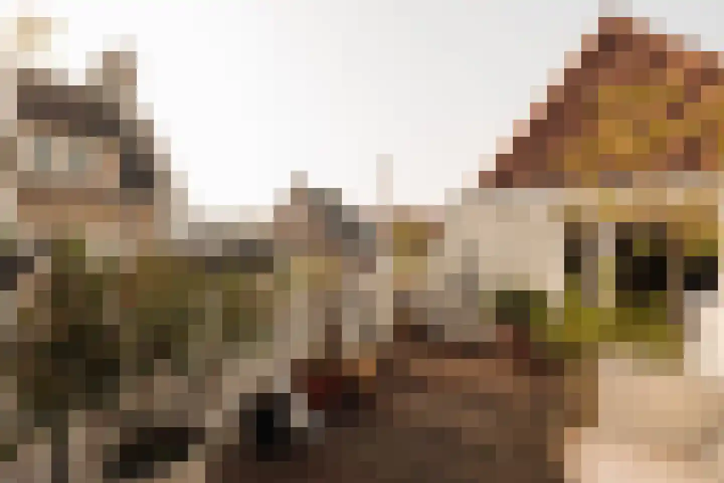 Singel 100 E Amsterdam thumbnail 10