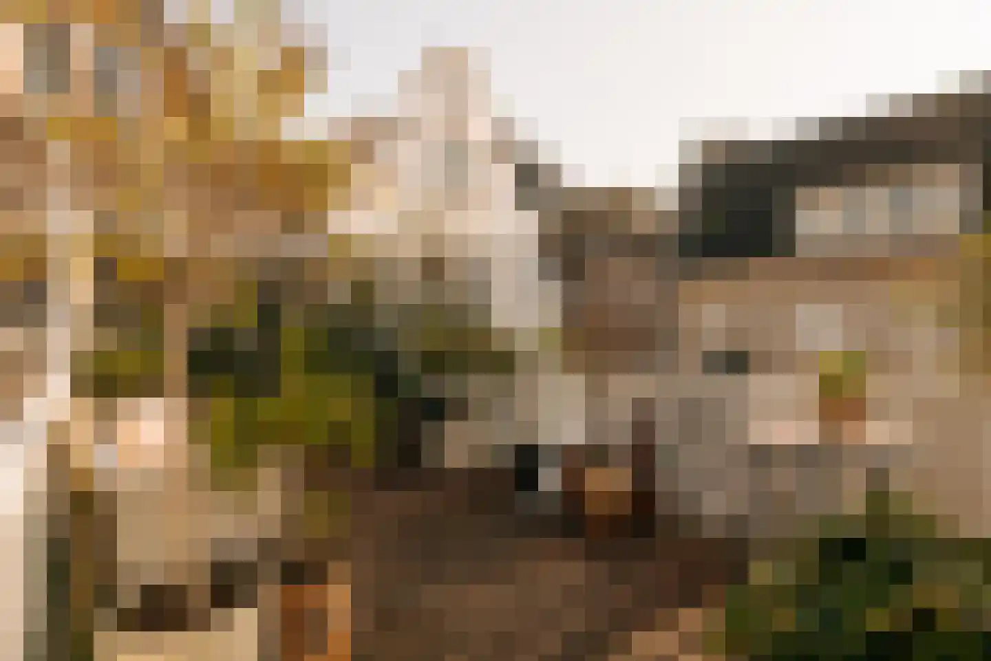 Singel 100 E Amsterdam thumbnail 11
