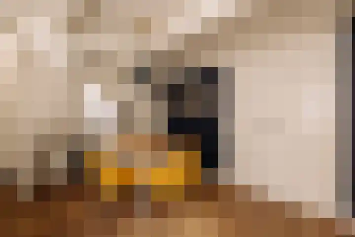 Singel 100 E Amsterdam thumbnail 18