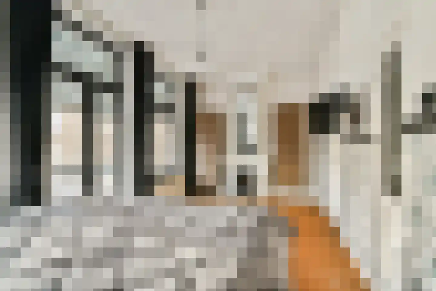 Singel 100 Schiedam thumbnail 20