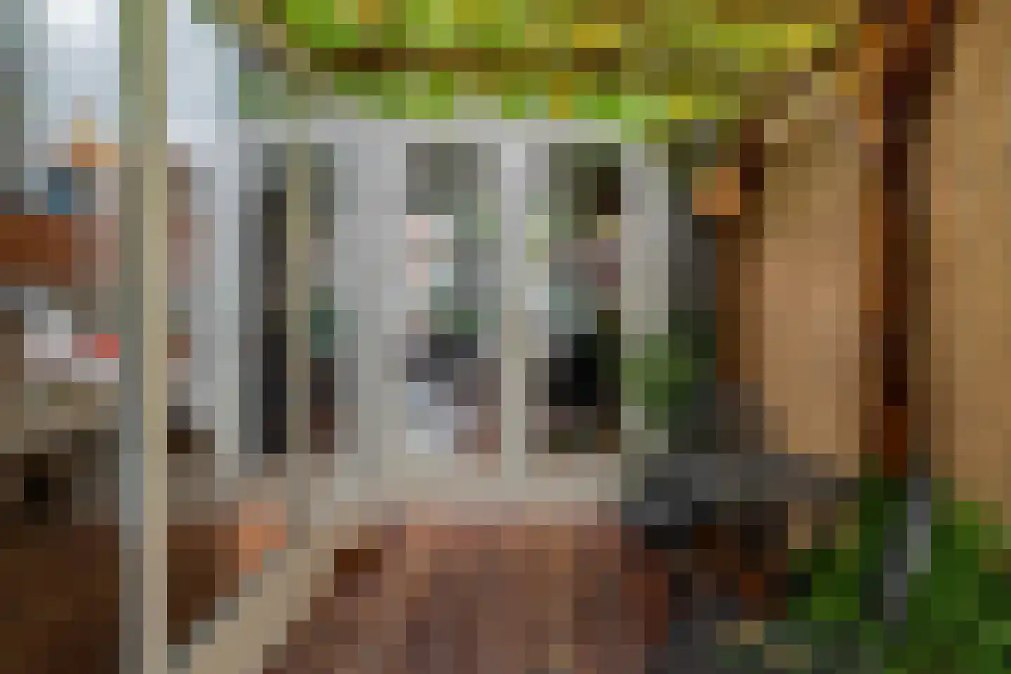 Singel 100 Schiedam thumbnail 32