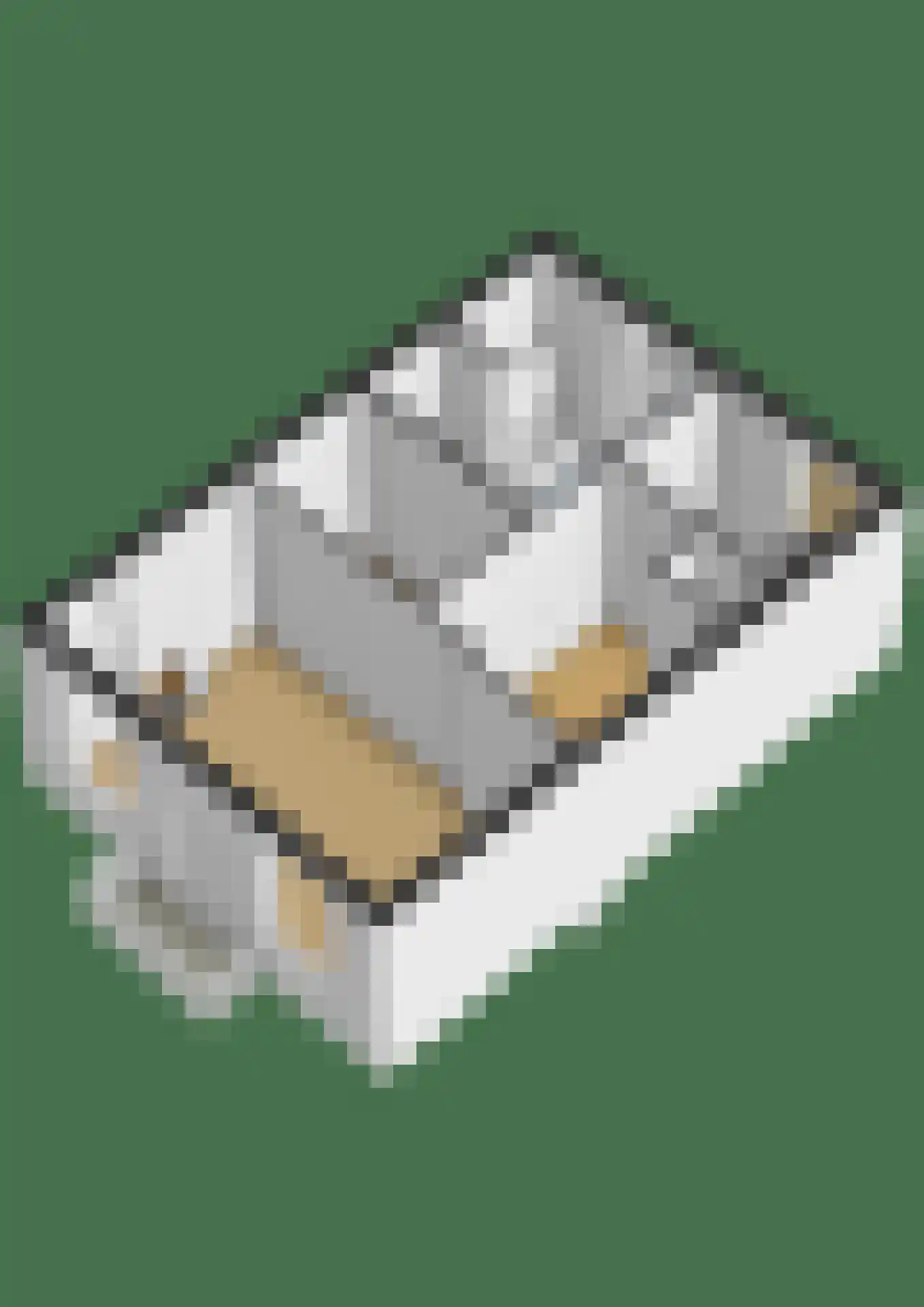 Singel 100 Schiedam thumbnail 42