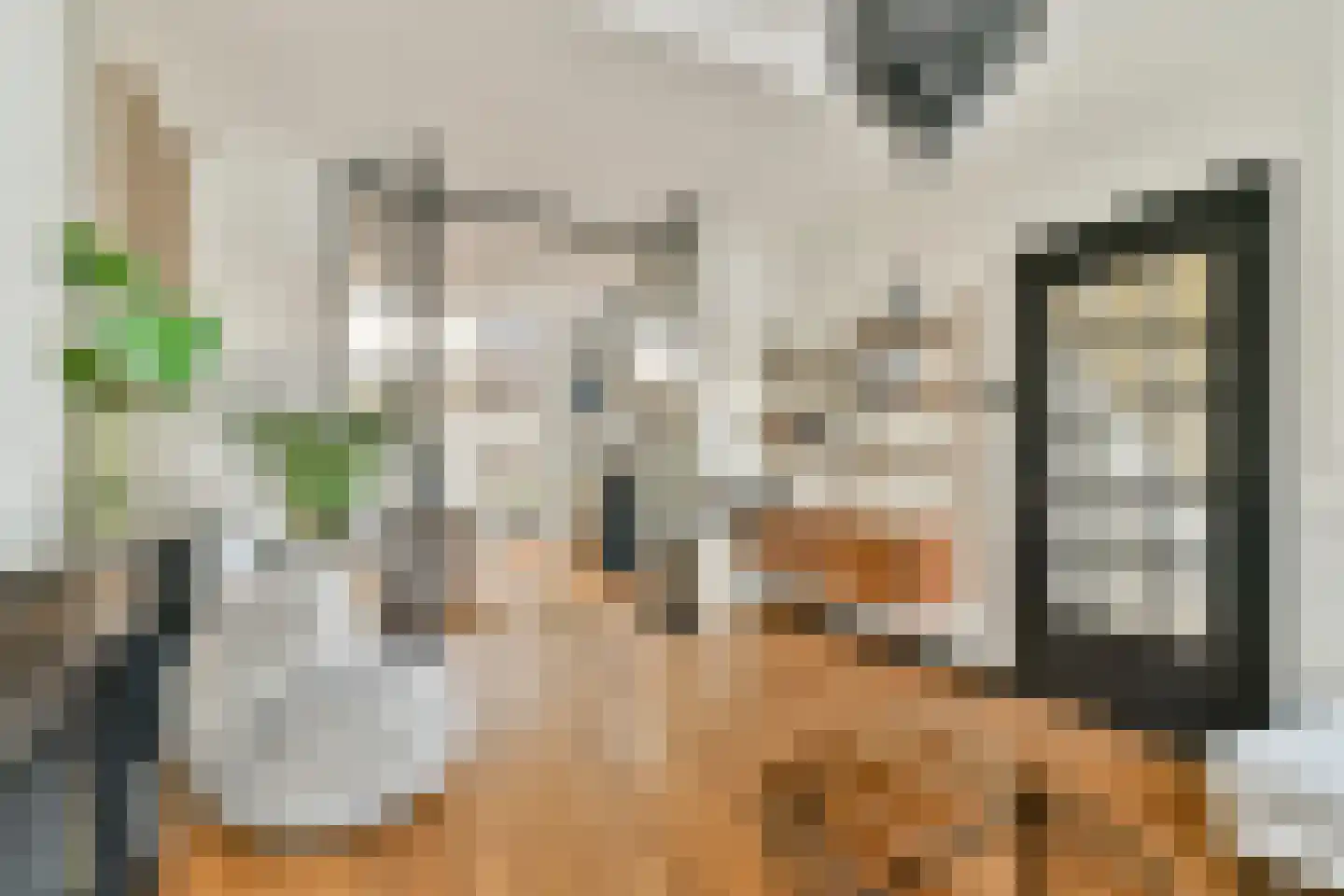 Singel 100 Schiedam thumbnail 8