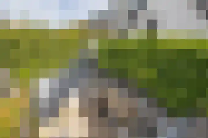Singel 103 Bussum thumbnail 30