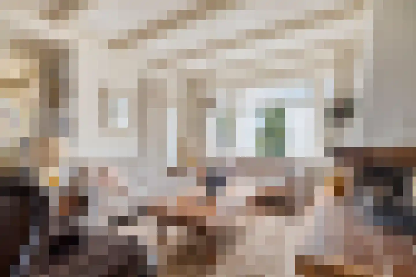 Singel 103 Woerden thumbnail 13