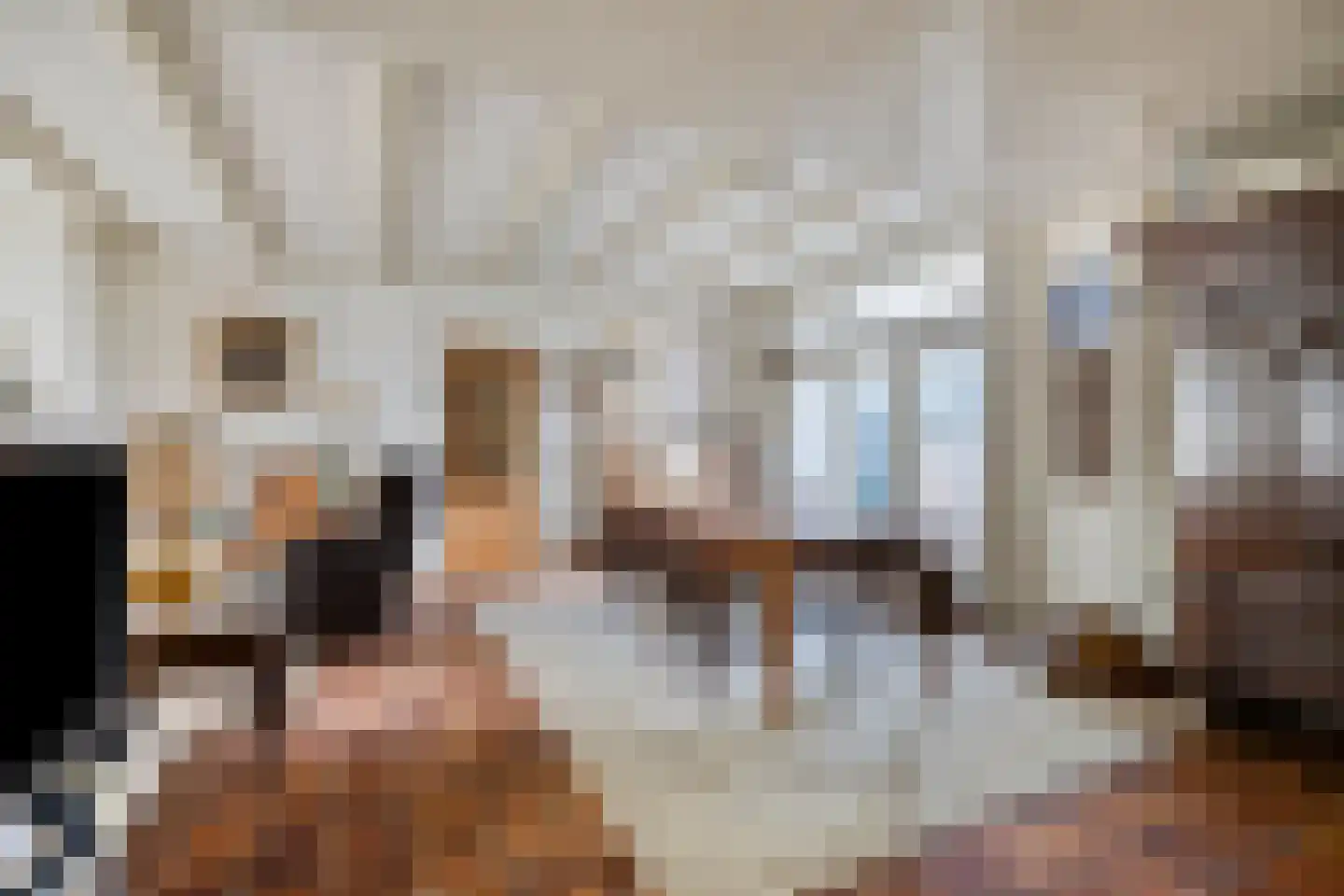 Singel 103 Woerden thumbnail 17