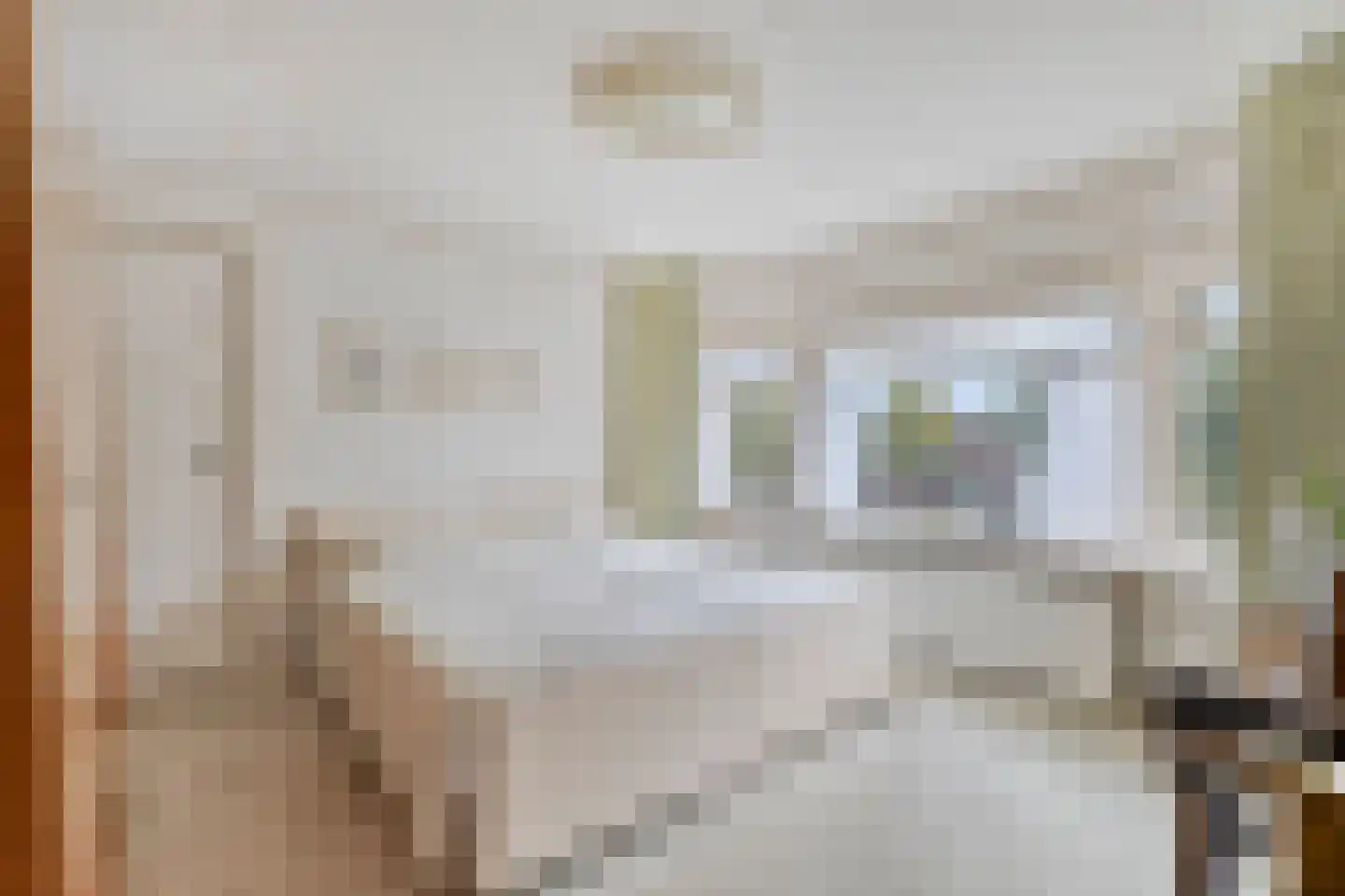 Singel 103 Woerden thumbnail 27