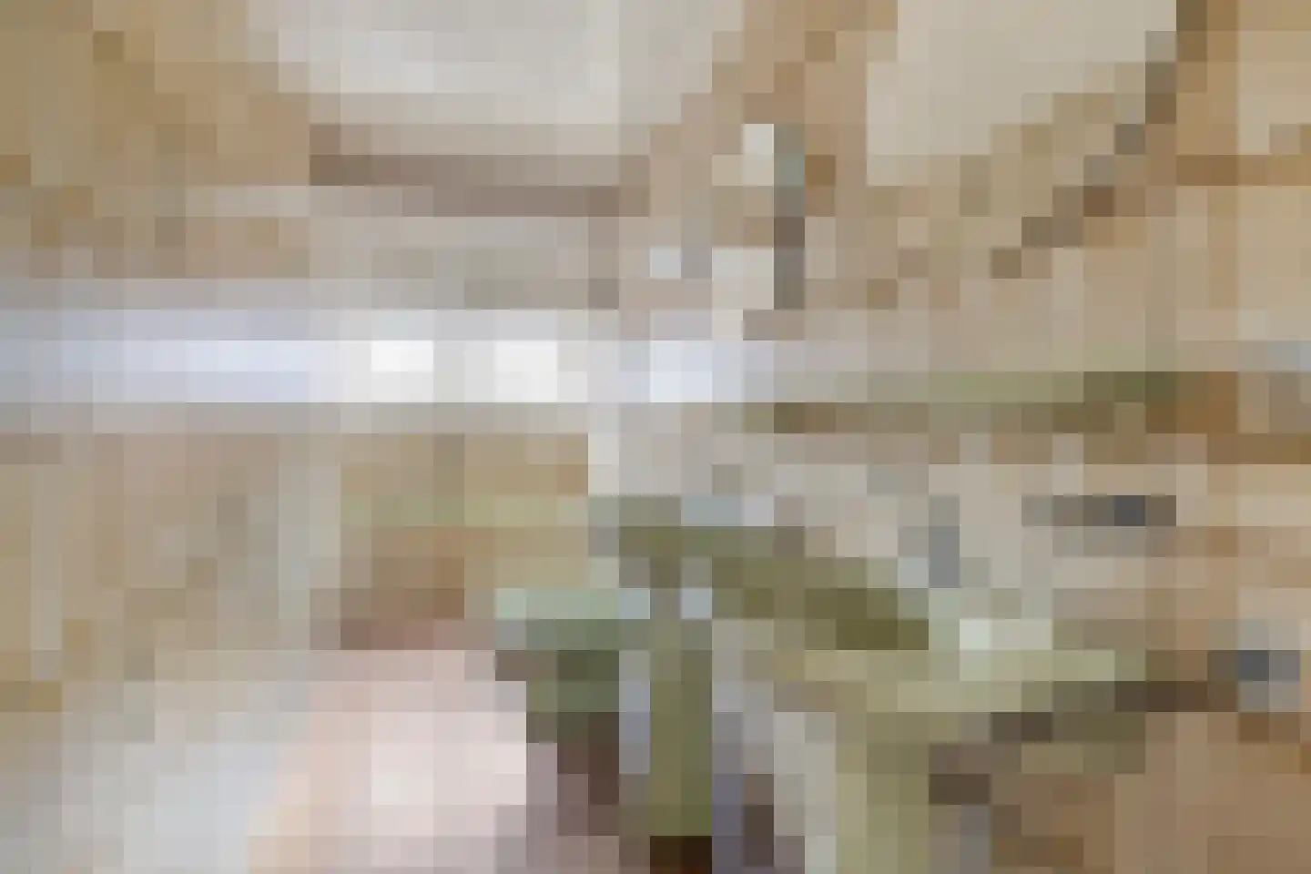 Singel 103 Woerden thumbnail 36