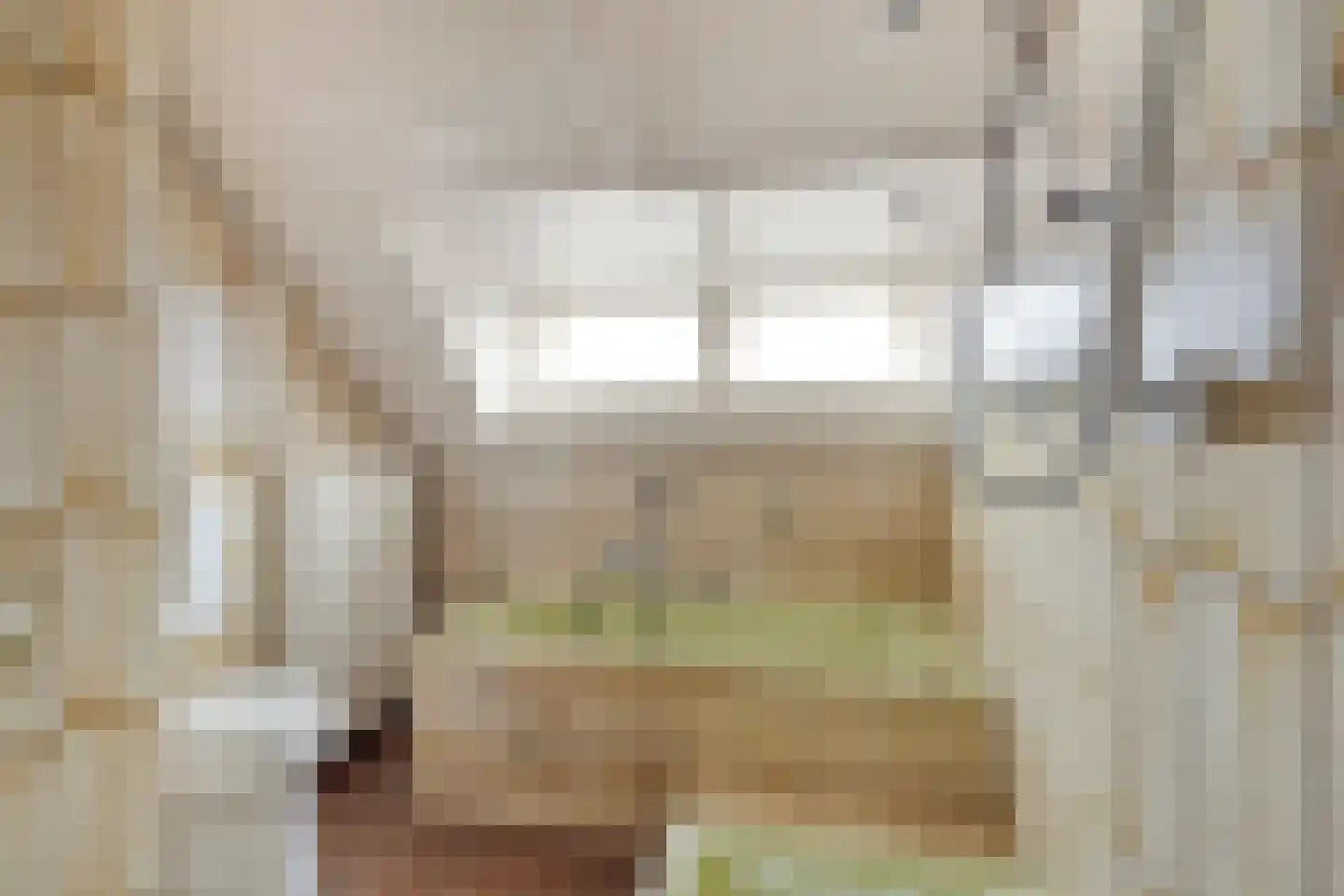 Singel 103 Woerden thumbnail 38