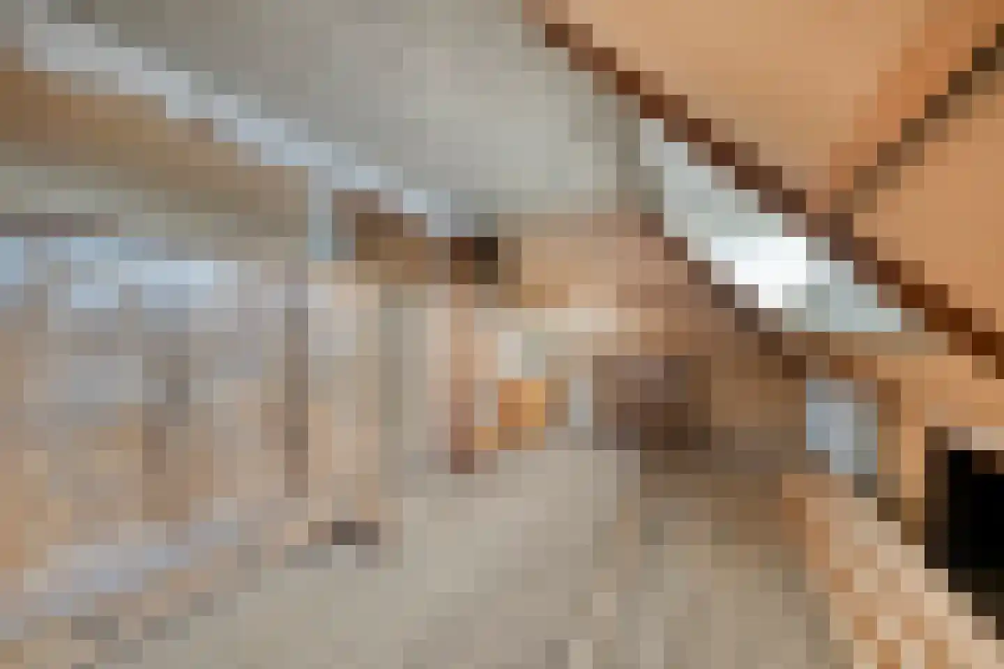 Singel 103 Woerden thumbnail 45