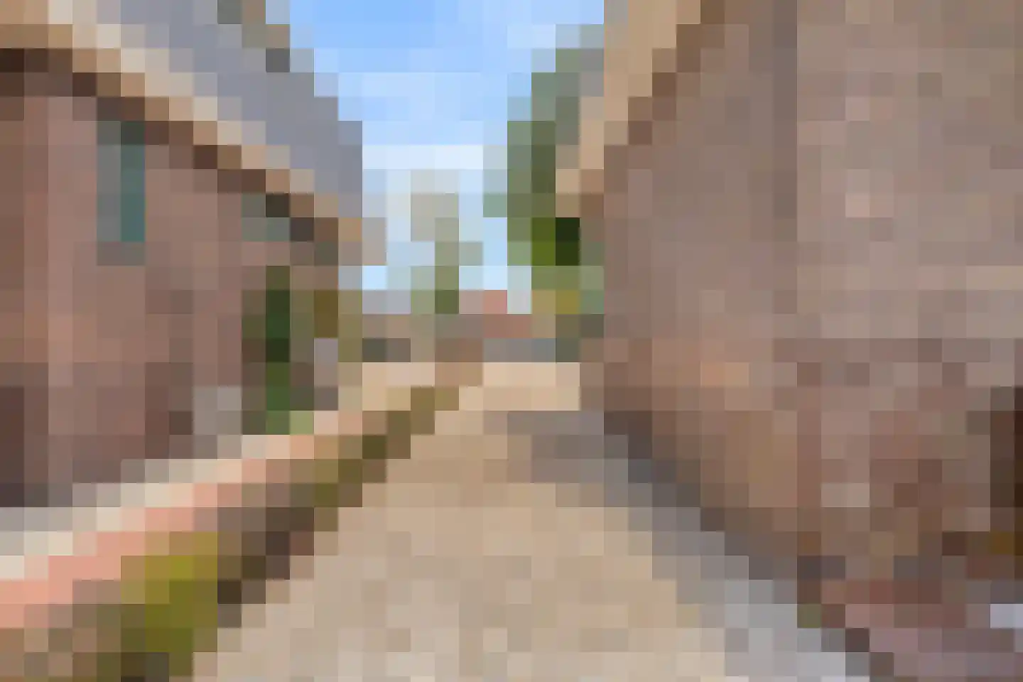 Singel 103 Woerden thumbnail 50
