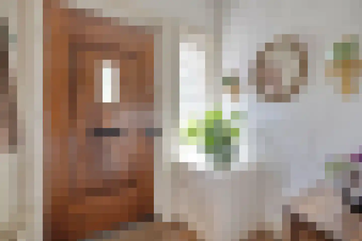 Singel 103 Woerden thumbnail 7