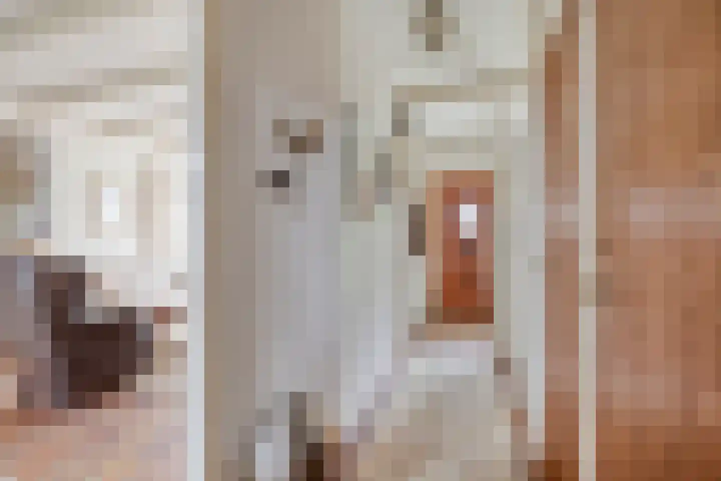 Singel 103 Woerden thumbnail 8