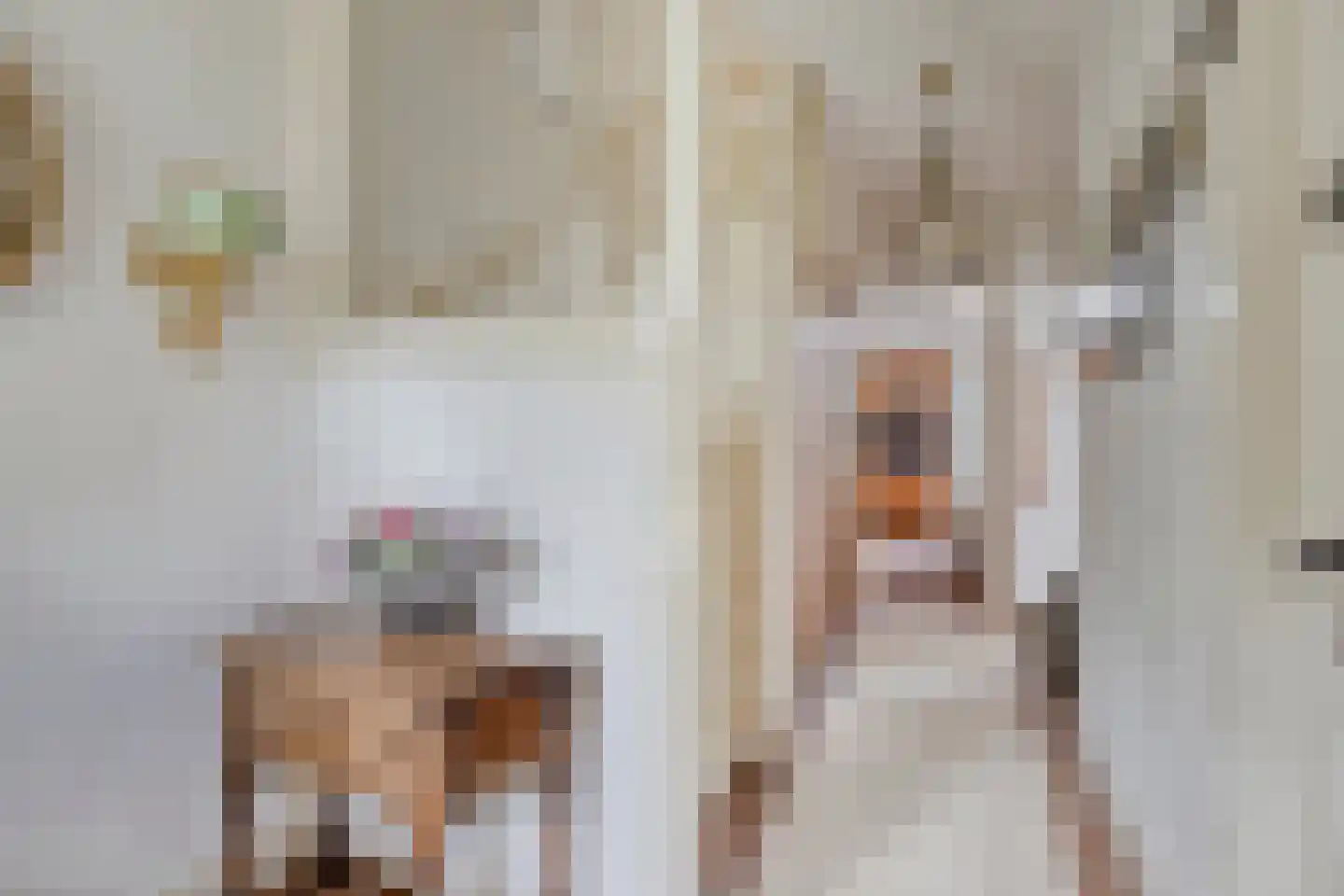 Singel 103 Woerden thumbnail 9