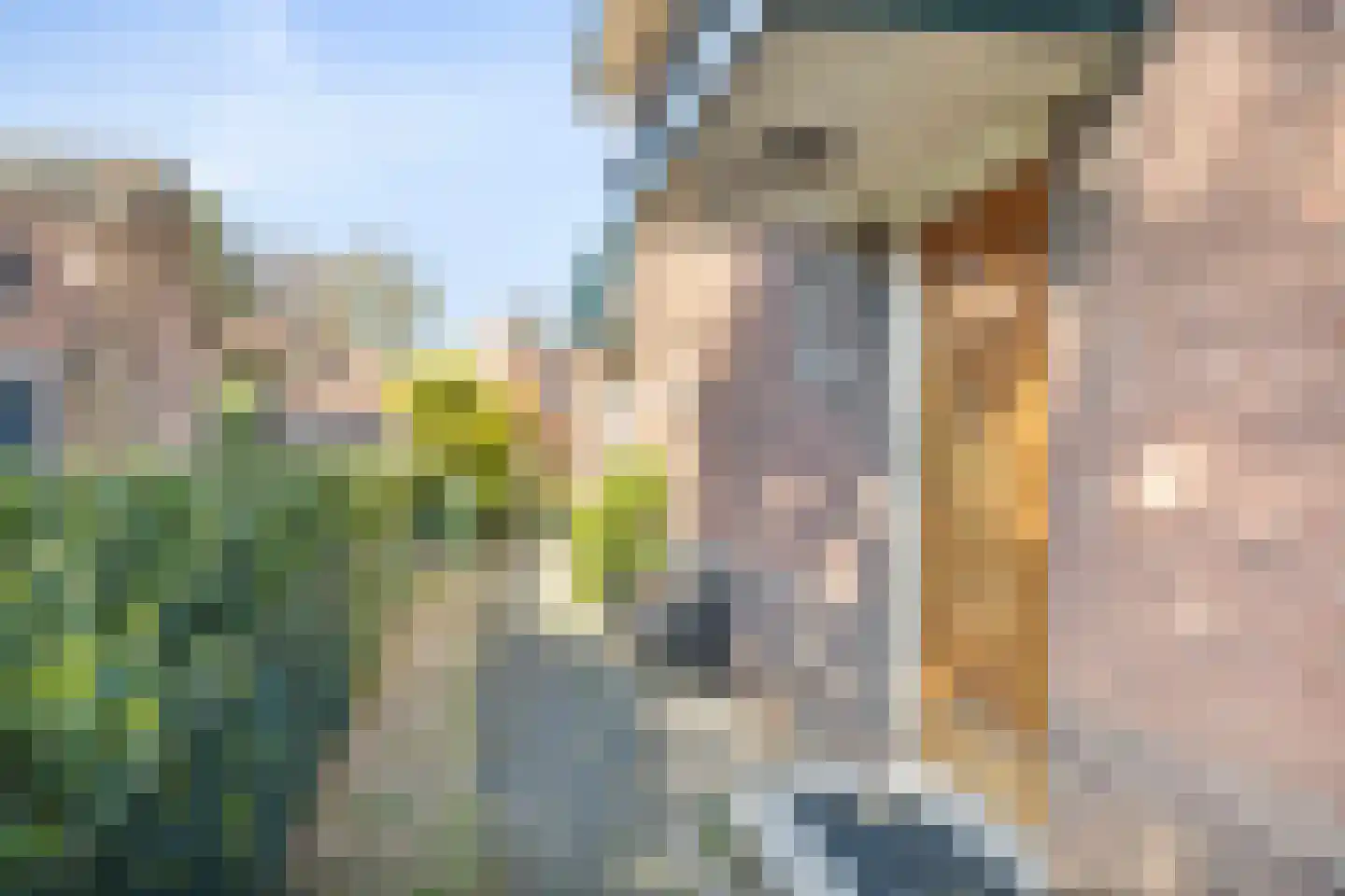 Singel 106 I Woerden thumbnail 6
