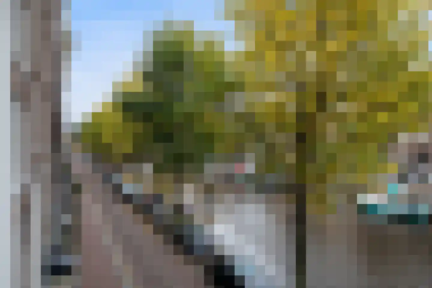 Singel 109 F Amsterdam thumbnail 17