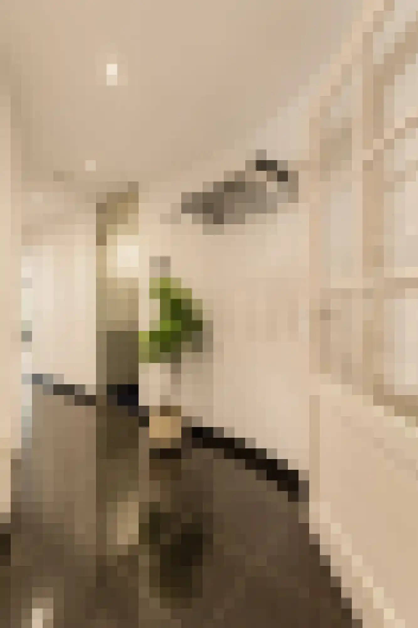 Singel 109 F Amsterdam thumbnail 51