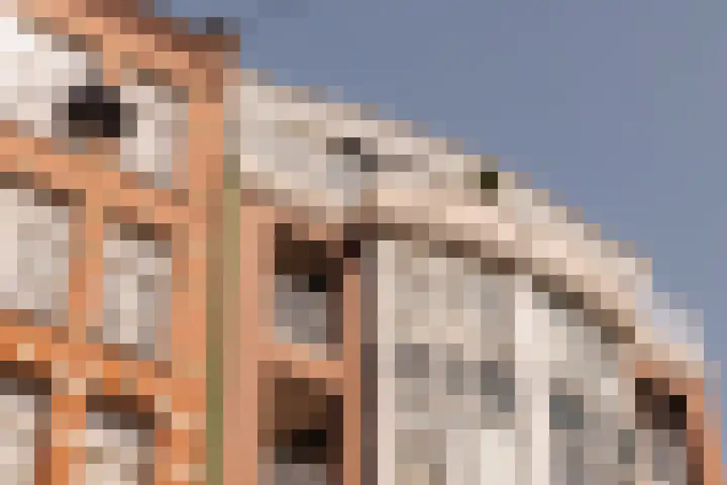Singel 109 R Amsterdam thumbnail 21