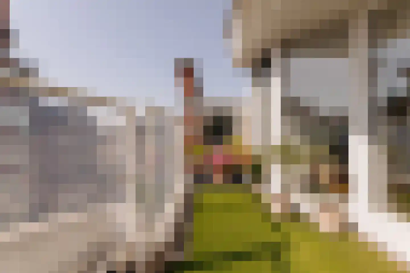 Singel 109 R Amsterdam thumbnail 9