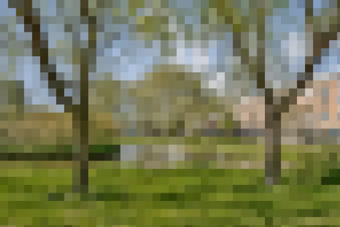 Singel 11 B Schiedam thumbnail 18