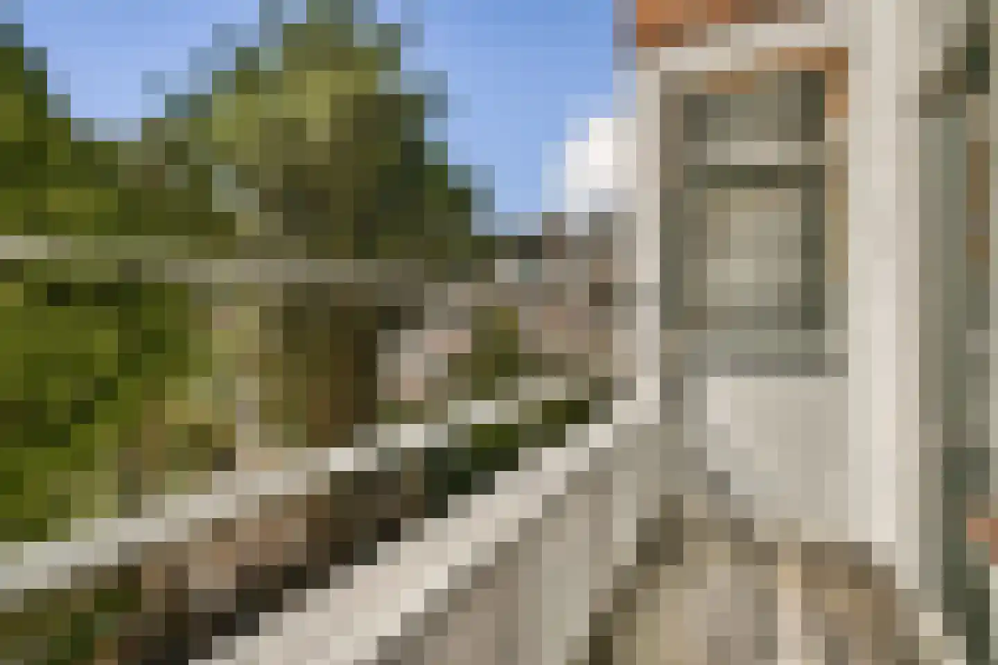 Singel 11 B Schiedam thumbnail 5