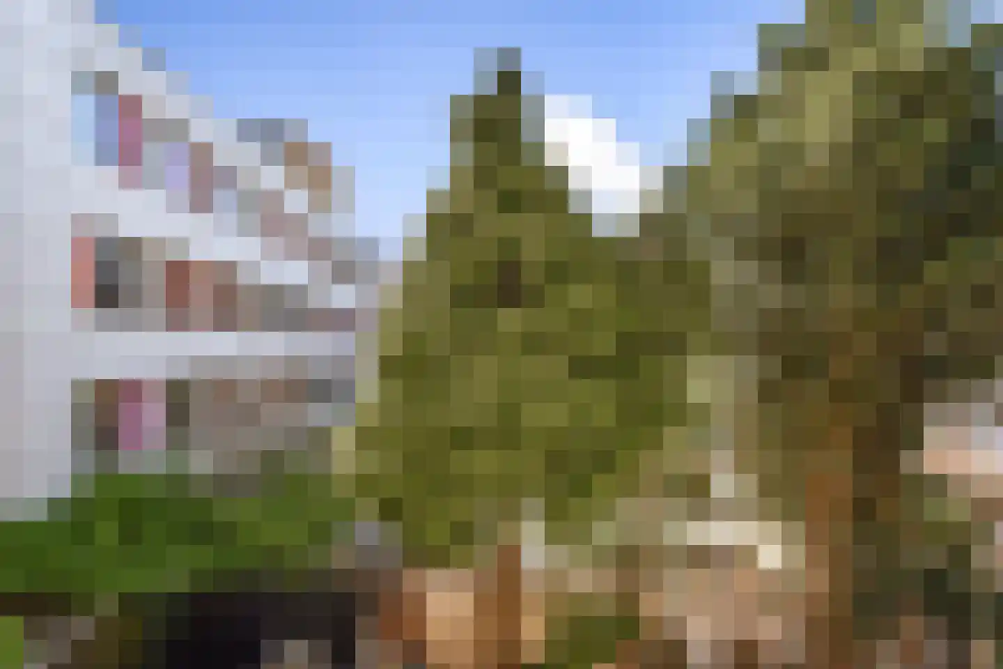 Singel 11 B Schiedam thumbnail 8