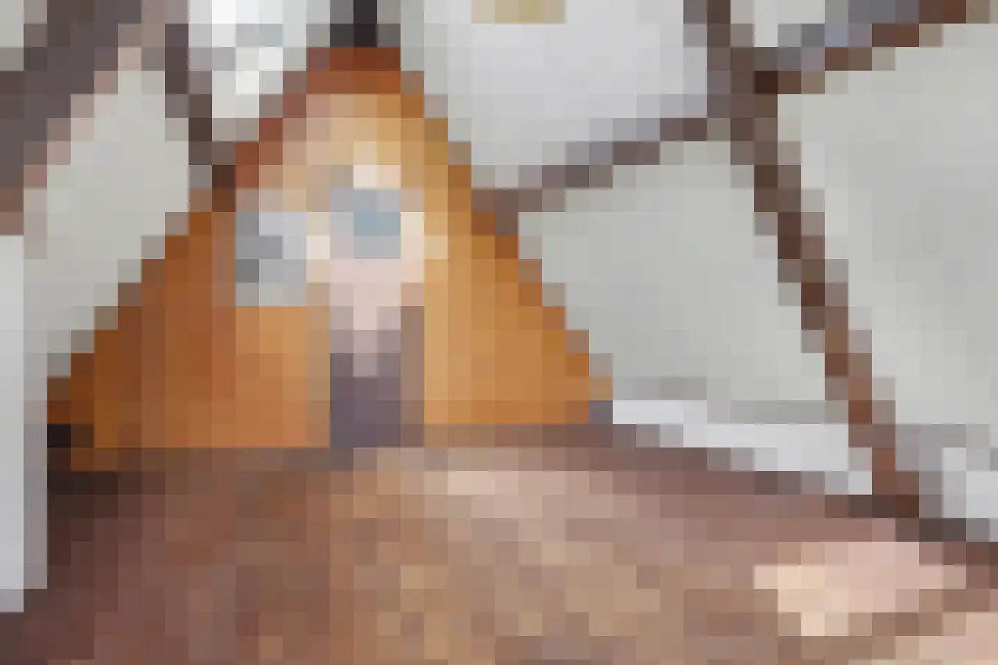 Singel 11 Dordrecht thumbnail 32