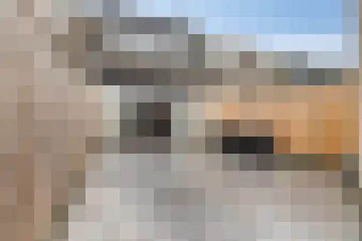 Singel 11 's-Gravendeel thumbnail 22