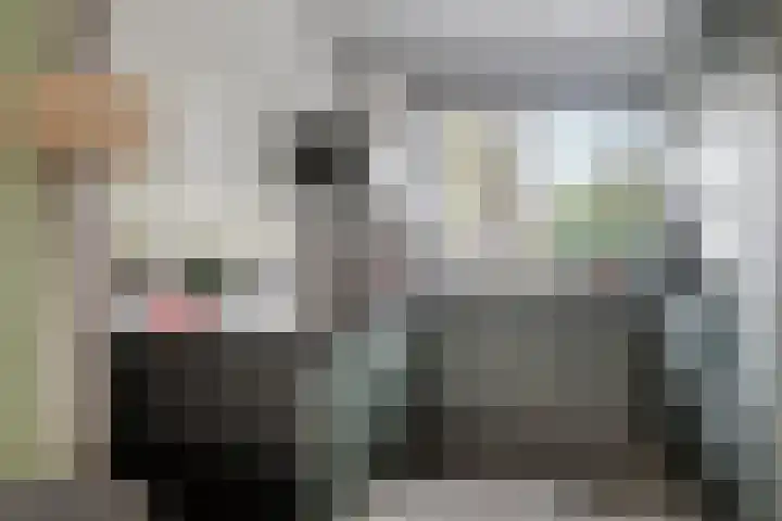 Singel 11 's-Gravendeel thumbnail 8